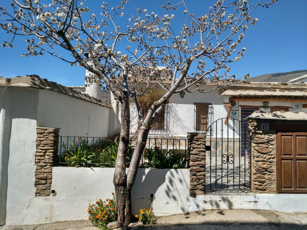 Bubión Casas Rurales Encarnita المظهر الخارجي الصورة